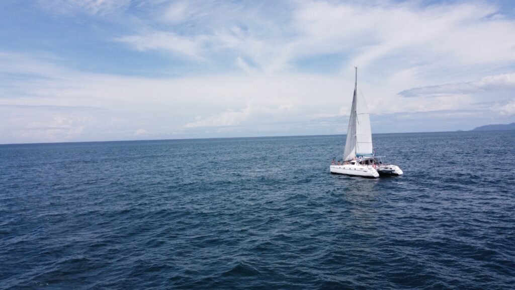 Sailing and whale watching