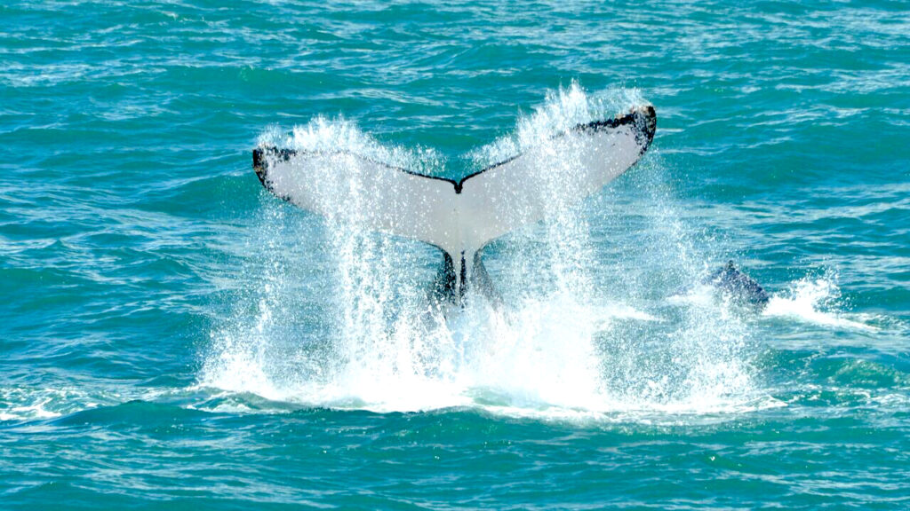 Great photo during a private trip